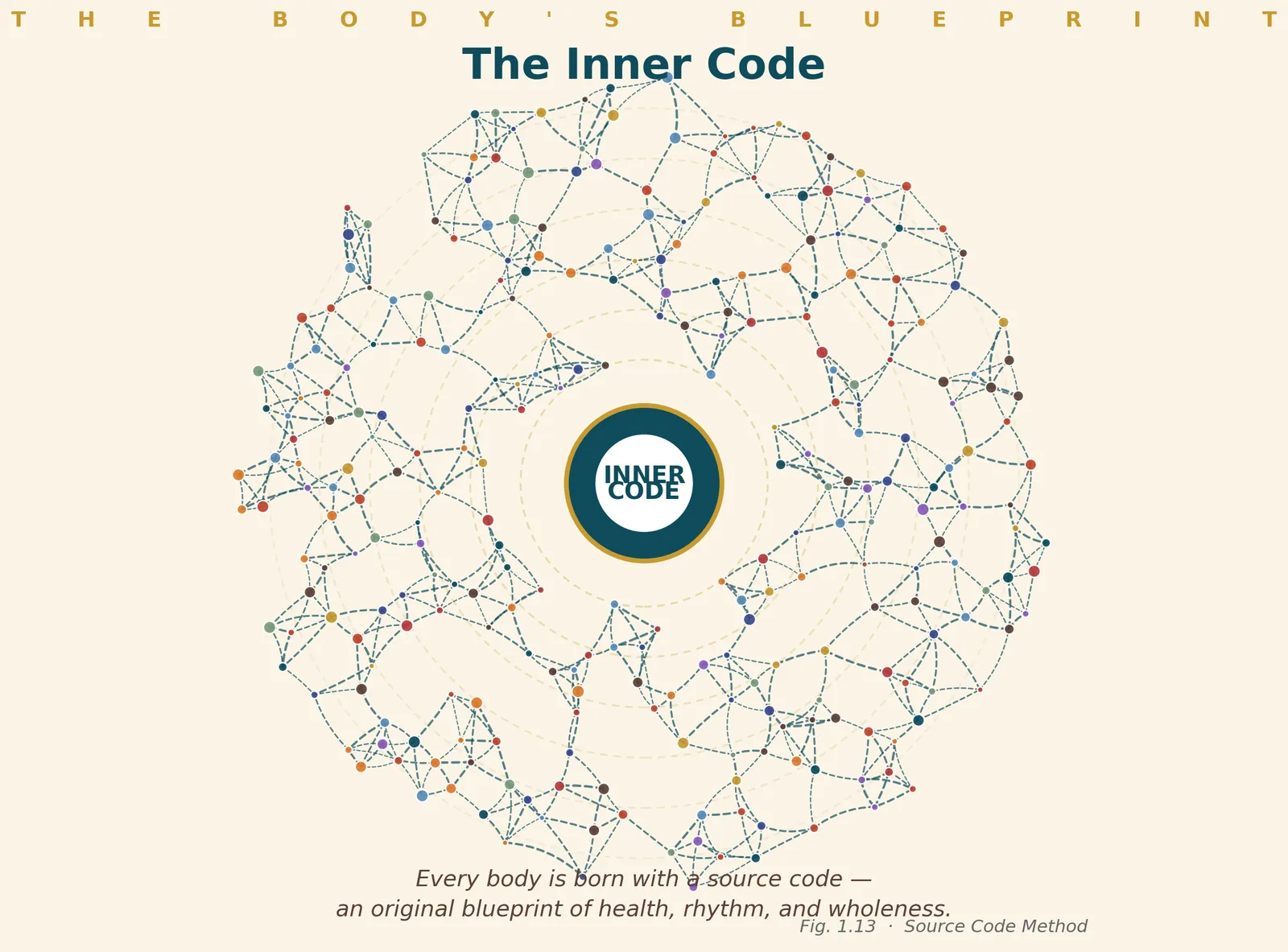 The Inner Code: a web of connected points around a centre, the body's blueprint