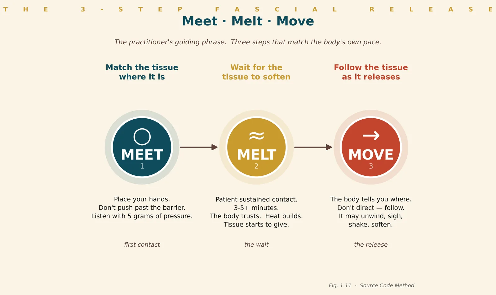 Meet, Melt, Move: the three-step fascial release