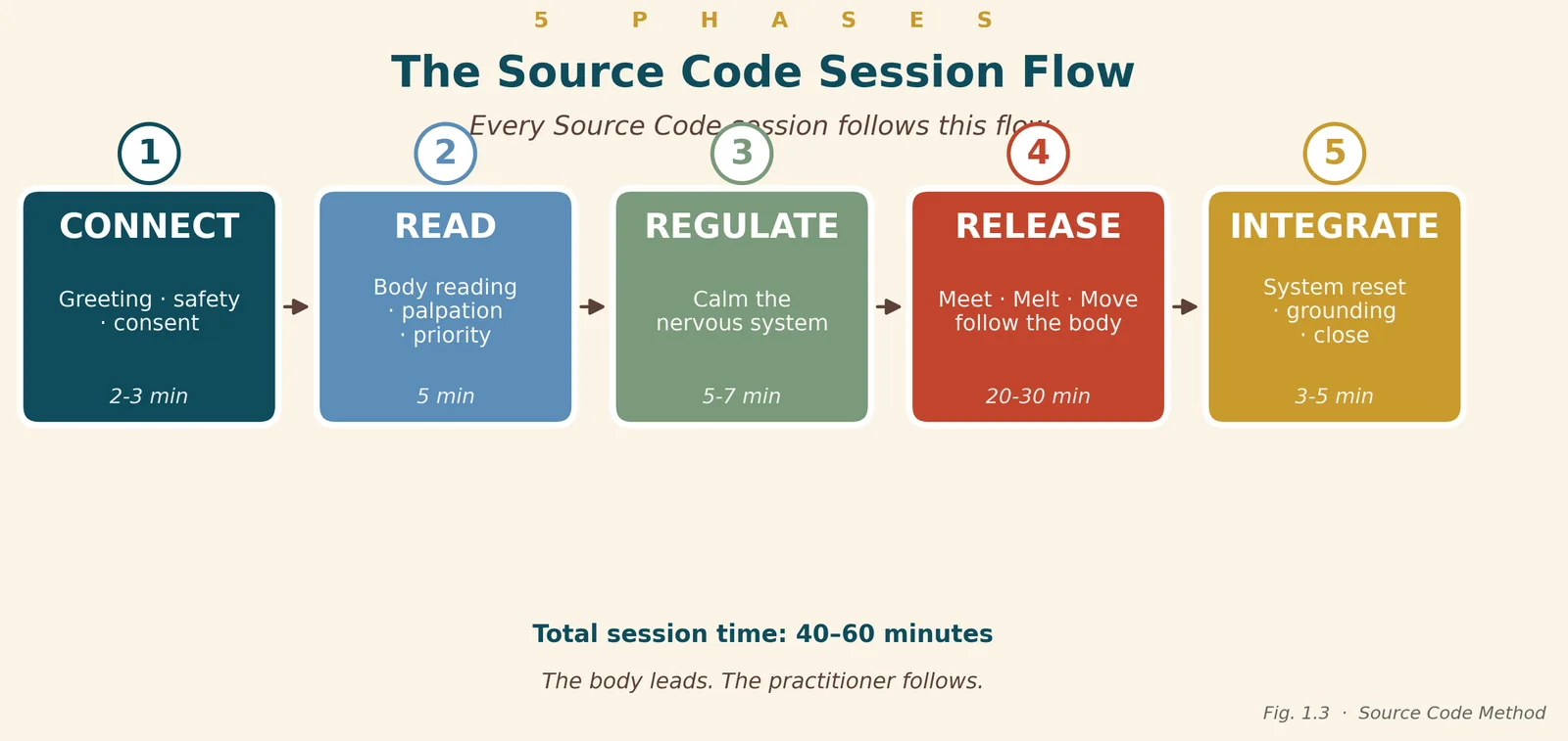 The five phases of a Source Code session: connect, read, regulate, release, integrate